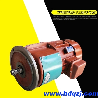 ZDR型滑環(huán)電機(jī) ZDR型滑環(huán)電機(jī)